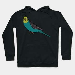 Curious Blue Parakeet Hoodie